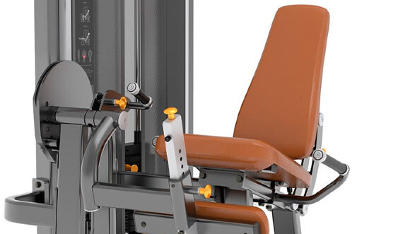 Разгибание ног AnyFit PE201-96